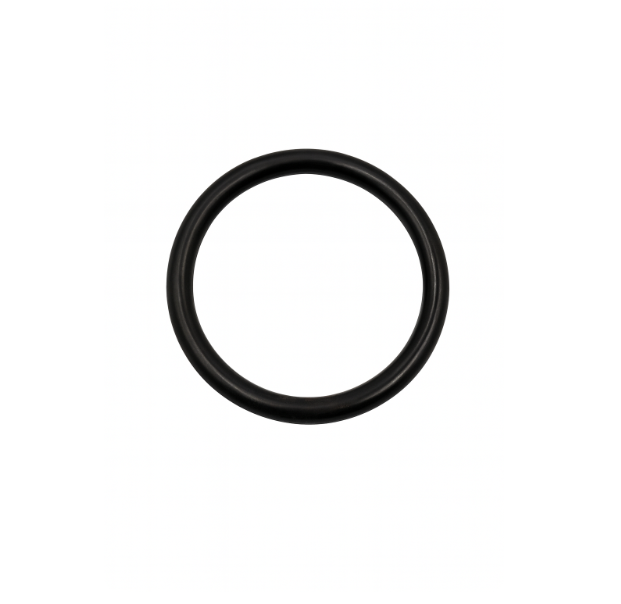 Praher Socket Union O'Ring Large ⚙️