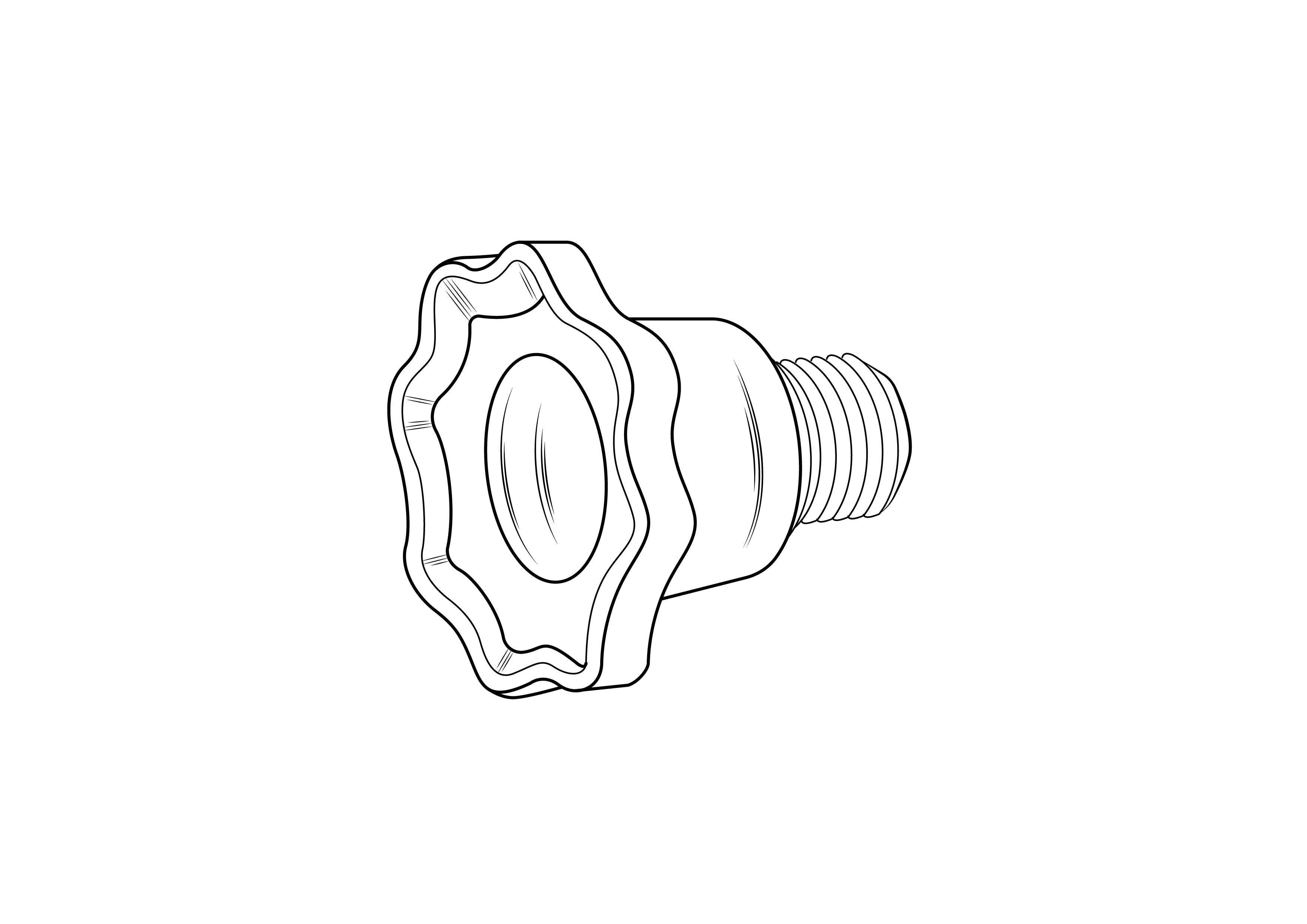 CF Clean-Flo Air Release Valve